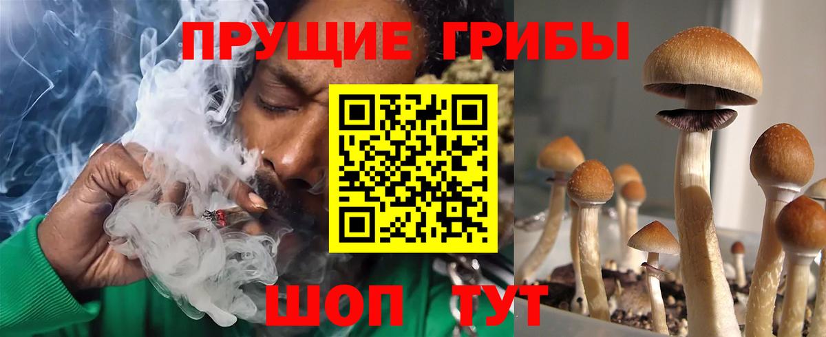 Галлюциногенные грибы GOLDEN TEACHER Саянск